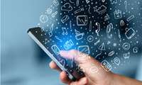 Message Botnet Identification by Dynamic Analysis 