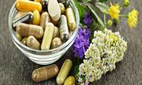 6 The university student s thesis was introduced as the top idea at the Medicinal Plants Festival 